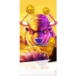 Buffalo
King